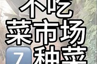 开云app下载安装手机版苹果版截图4